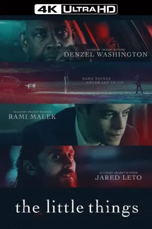 Poster to the movie "The Little Things" #652036