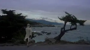 Backdrop to the movie "Vertigo" #635892