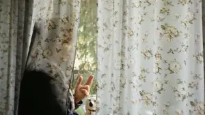 Backdrop to the movie "Wind Beneath the Wings" #544861