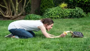 Backdrop to the movie "Laggies" #302013