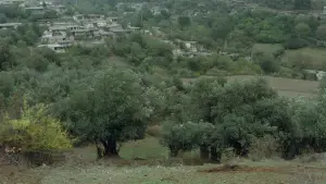 Backdrop to the movie "Where Is My Friend