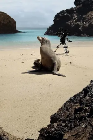 Poster to the movie "Guardians of the Galapagos" #720087