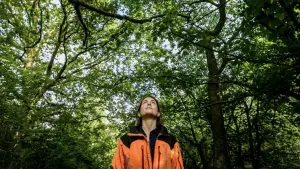 Backdrop to the movie "The Arborist" #737480