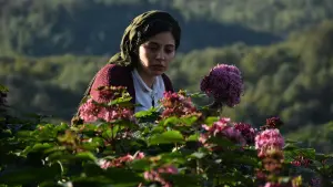 Backdrop to the movie "There Is No Evil" #372503