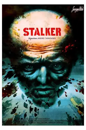 Poster to the movie "Stalker" #734128