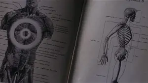 Backdrop to the movie "Donnie Darko" #528233