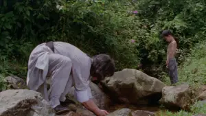 Backdrop to the movie "The Young Master" #721925