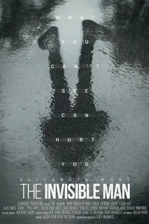 Poster to the movie "The Invisible Man" #670833