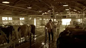 Backdrop to the movie "Erin Brockovich" #663531