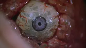 Backdrop to the movie "Frankenhooker" #712817