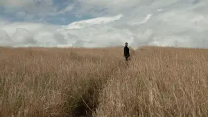 Backdrop to the movie "Horizon" #775787