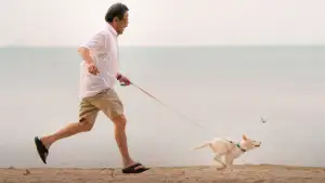 Backdrop to the movie "Gohan" #796486