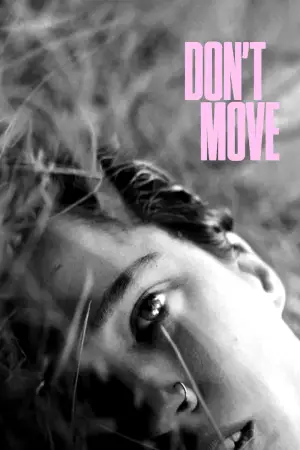 Poster to the movie "Don