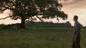 Backdrop to the movie "Forrest Gump" #528551