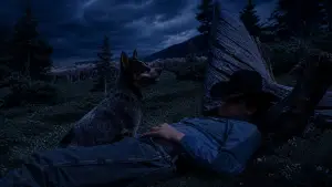 Backdrop to the movie "Brokeback Mountain" #913180
