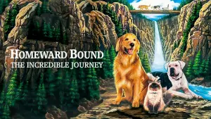 Backdrop to the movie "Homeward Bound: The Incredible Journey" #251056