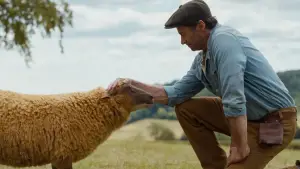 Backdrop to the movie "The Sheep Detectives" #575154