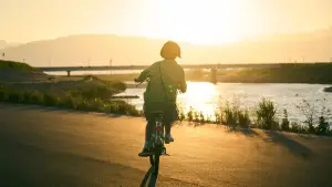 Backdrop to the movie "Renoir" #539587