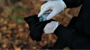 Backdrop to the movie "Fifth Mission" #776000