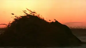 Backdrop to the movie "Dersu Uzala" #751355