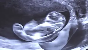 Backdrop to the movie "Castration Movie Anthology iii. Year of the Hyaena" #696062