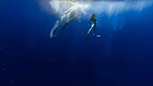 Backdrop to the movie "Le souffle de vie" #542553