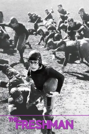 Poster to the movie "The Freshman" #768410