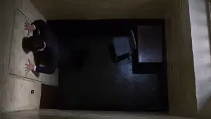 Backdrop to the movie "Frenzy" #765369