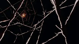 Backdrop to the movie "Macross: Do You Remember Love?" #394806