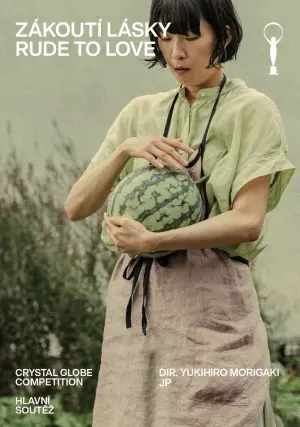 Poster to the movie "Rude to Love" #487709