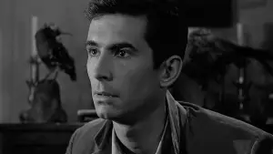 Backdrop to the movie "Psycho" #798809