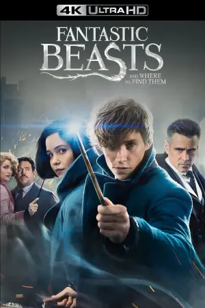 Poster to the movie "Fantastic Beasts and Where to Find Them" #590611