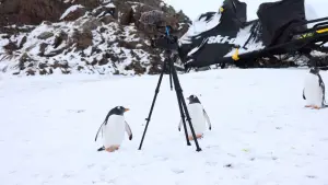 Backdrop to the movie "Antarctica" #670578