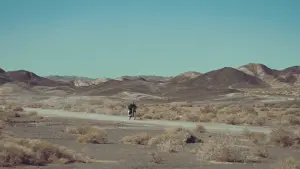 Backdrop to the movie "Black Dog" #479611