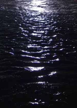 Poster to the movie "Par ma fenêtre" #558295