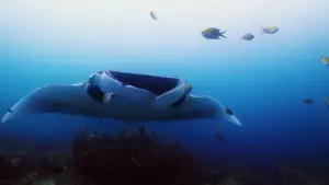 Backdrop to the movie "Horizon Saudi Arabia" #793473