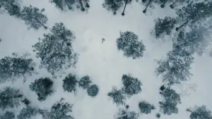 Backdrop to the movie "No Time to Die" #766899