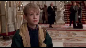 Backdrop to the movie "Home Alone 2: Lost in New York" #566995