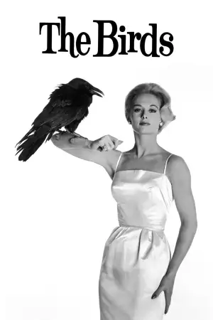 The Birds
