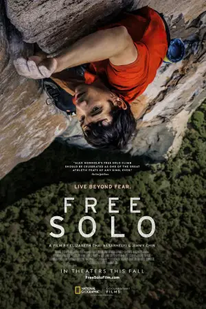 Poster to the movie "Free Solo" #621486