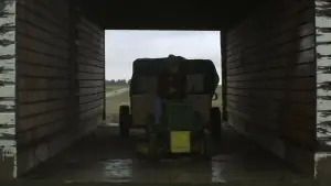 Backdrop to the movie "The Straight Story" #529164