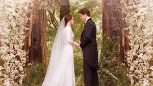 Backdrop to the movie "The Twilight Saga: Breaking Dawn - Part 1" #526600