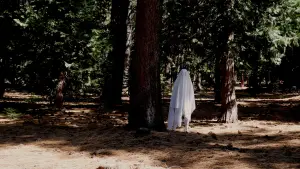 Backdrop to the movie "This House Is Totally Haunted" #774379