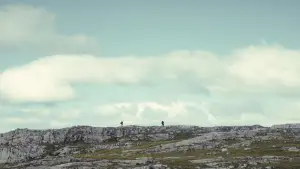 Backdrop to the movie "The North" #673864