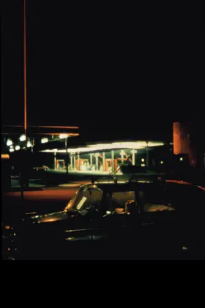 Poster to the movie "The Vanishing" #522770