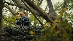 Backdrop to the movie "APEX" #568109