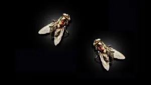 Backdrop to the movie "The Fly II" #384583