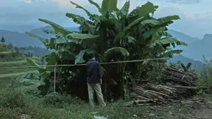 Backdrop to the movie "Kaili Blues" #478334