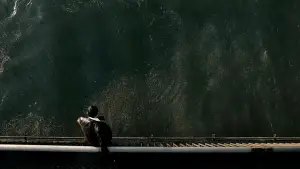 Backdrop to the movie "The Host" #701221