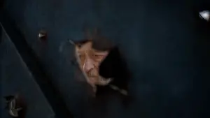 Backdrop to the movie "Grey Bees" #694435